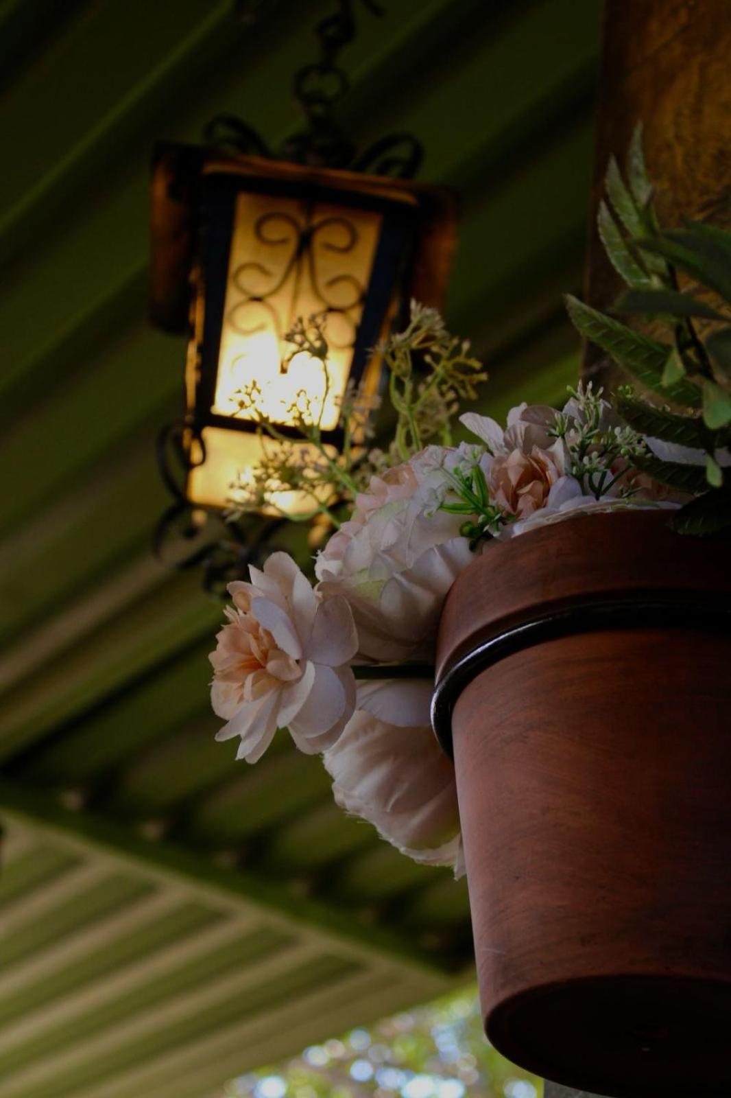 Velvet hostal Santa Ana Kültér fotó